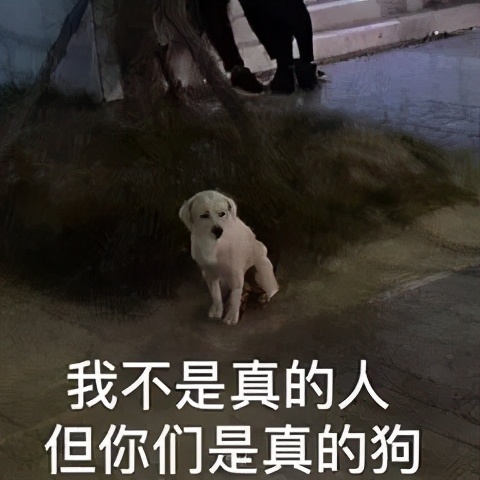 一打开淘宝就弹出消息,一打开视频就跳转淘宝