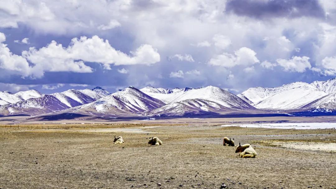 华夏山脉,华夏四大山脉