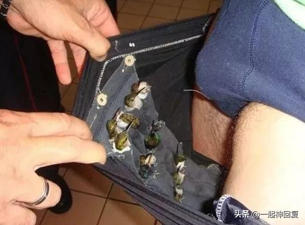 从体内取出17cm的异物，到底有多累