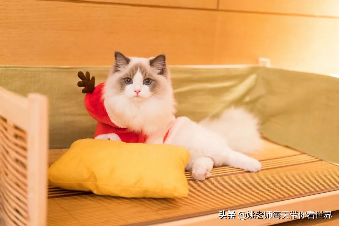 浙西低调山水小城，入选2021全球最佳旅行地邂逅早春一方秘境