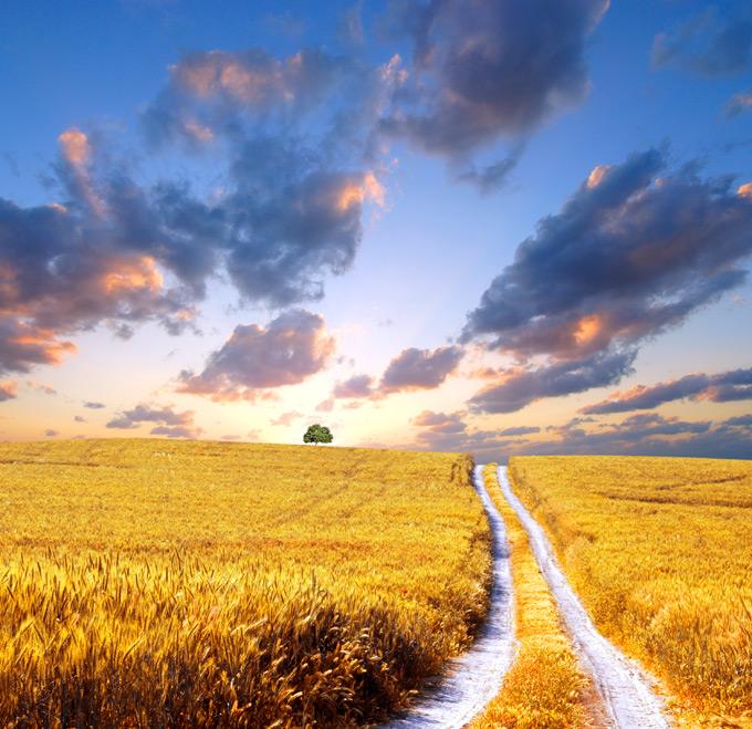 摆脱霉运的最佳方法,当你运气不好时会想什么办法