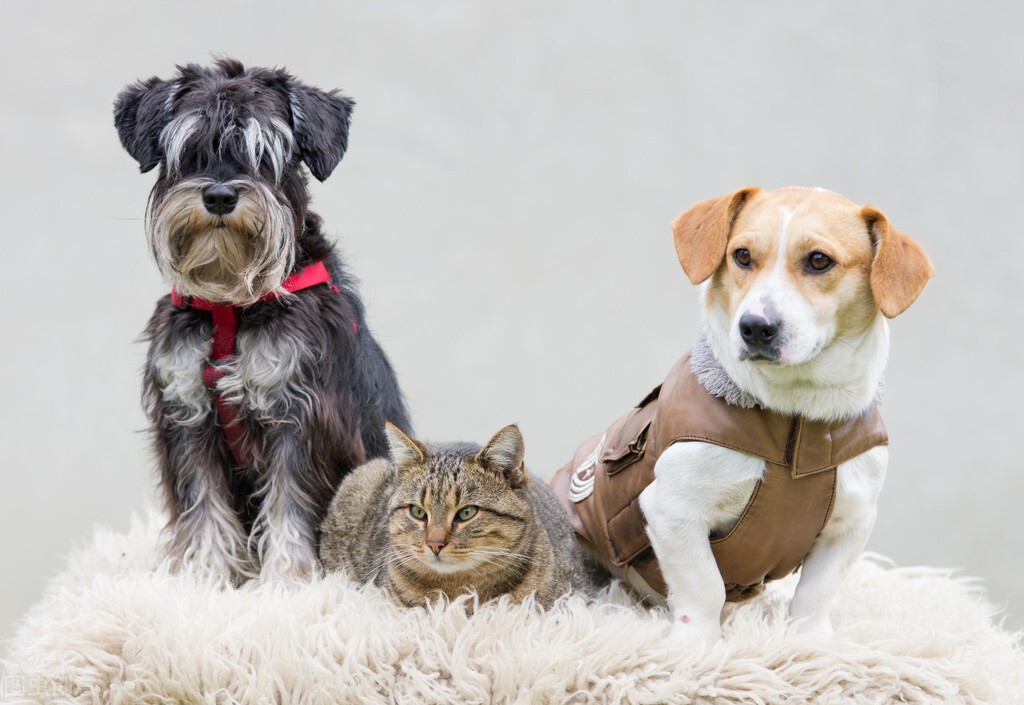 容易被忽视的健康问题,容易被忽视的安全问题