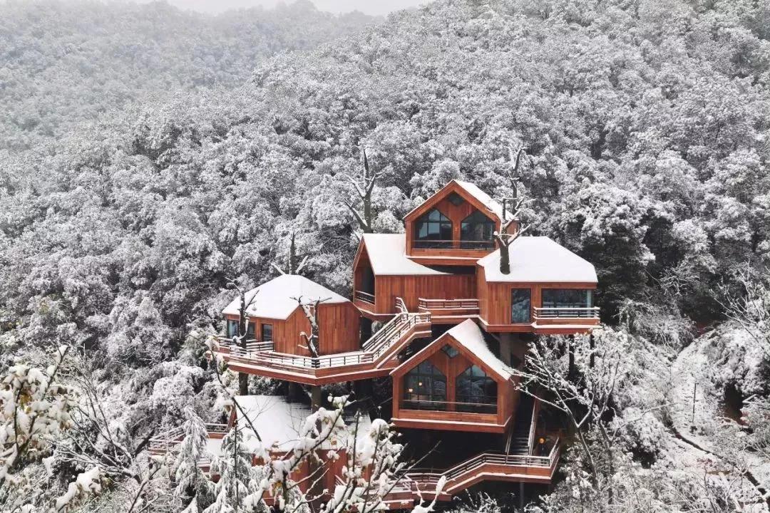 angelababy来呼市,angelababy溜娃