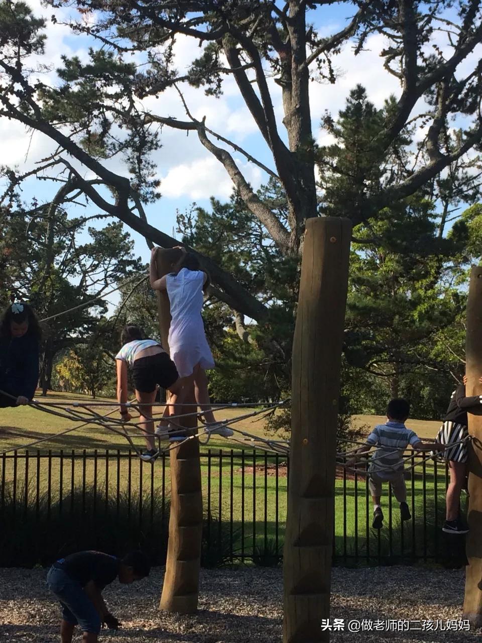 全球公认青少年最快长高方法,长高的关键在于