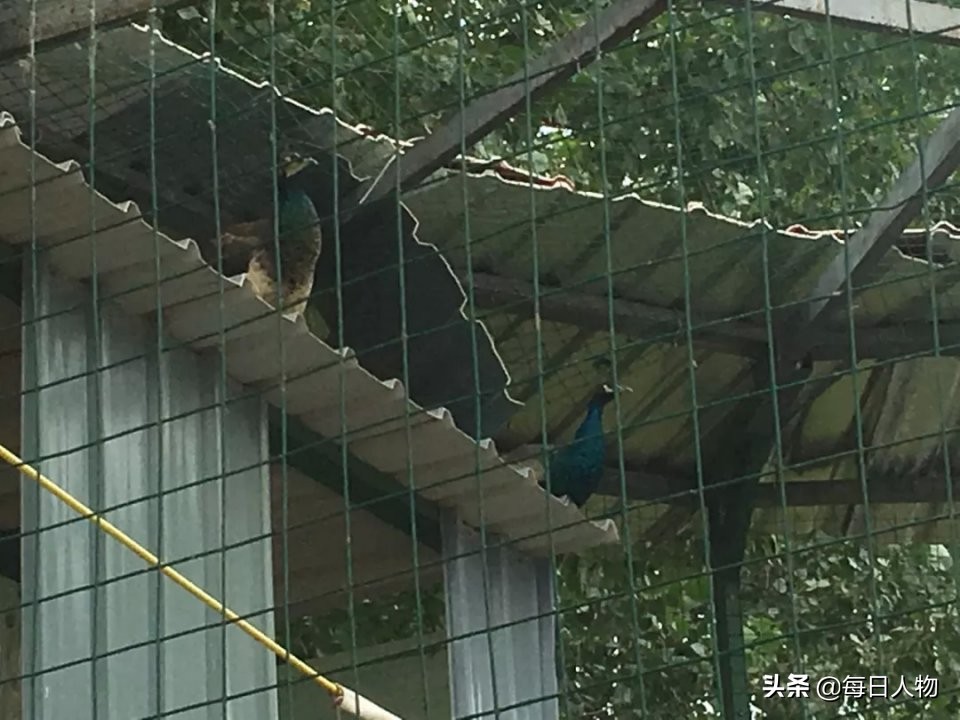 玛莎拉蒂醉驾案情,玛莎拉蒂醉驾案最终判决