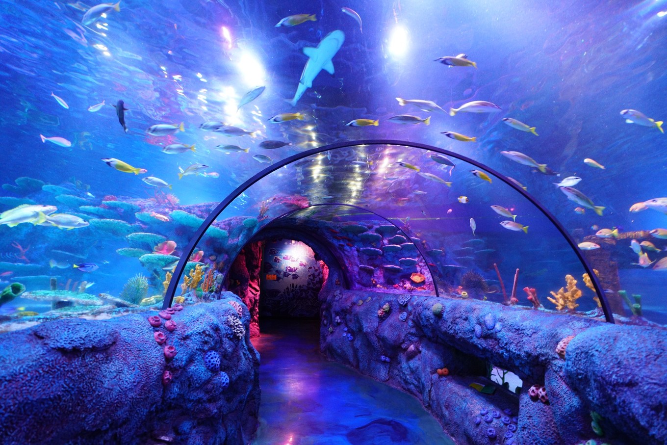 马来西亚西马旅游最佳线路图,马来西亚旅游怎么玩