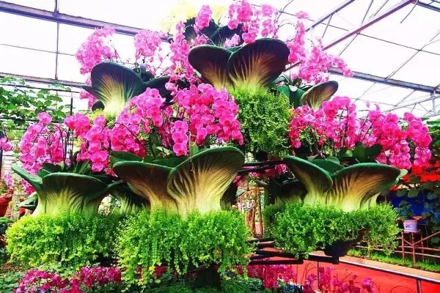 休闲农业种植园盈利模式,休闲农业公司盈利模式研究现状