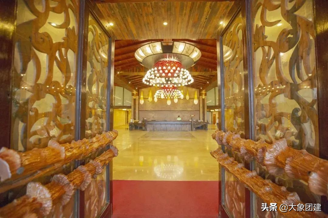 森波拉度假森林酒店,原始森林里的酒店