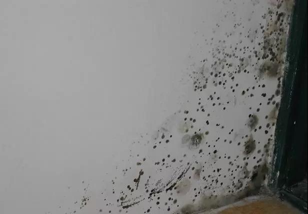 墙面黑了怎么快速变白,墙面脏了怎么办最快最好的方法