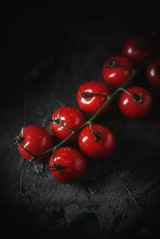 诗词不负美食不负卿,唯有美食可以治愈一切情绪的诗词