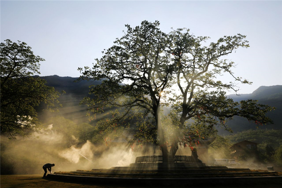 大理最美半山酒店,在大理遇见最美半山酒店