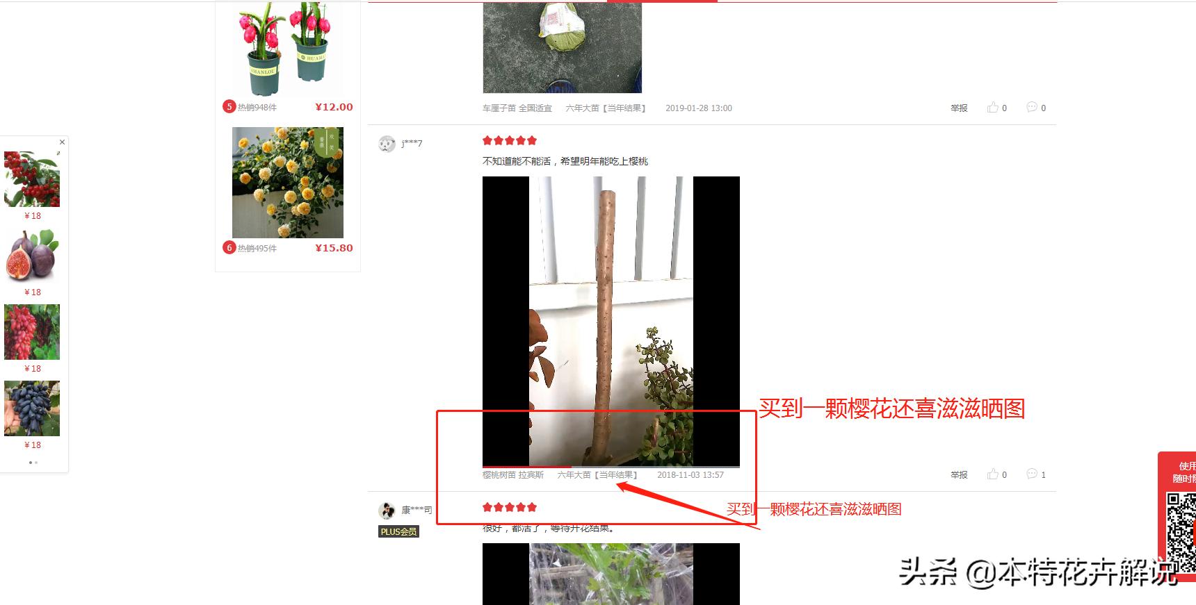 怎样不会买到假果树苗,在网上买到假果树苗