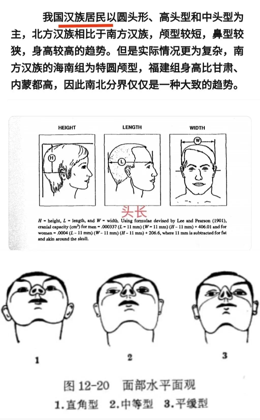 江西妹子典型长相图,江西地域长相特征