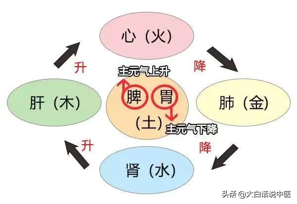 大白话说中医第二十三期｜老年痴呆不用怕，早早预防躲开它