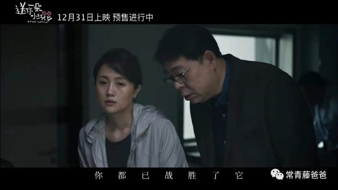 送你一朵小红花感受命运的安排,送你一朵小红花告诉我们什么道理