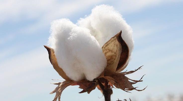 天气转凉宝宝应该注意什么,宝宝冬天厚棉衣怎么选