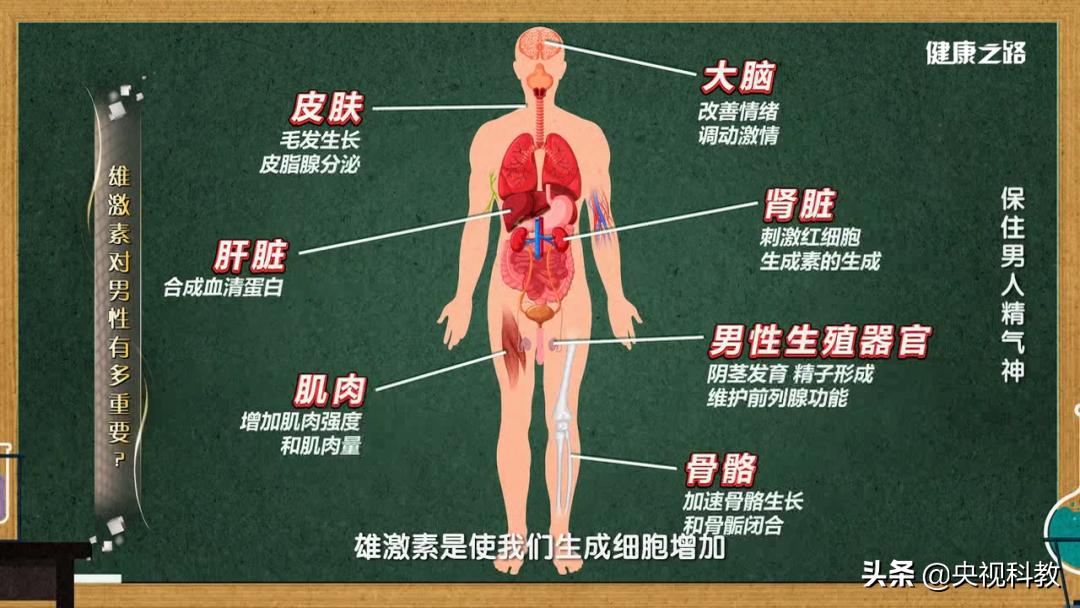 脾气暴躁易怒难以控制情绪低落,脾气暴躁缺乏耐心怎么解决