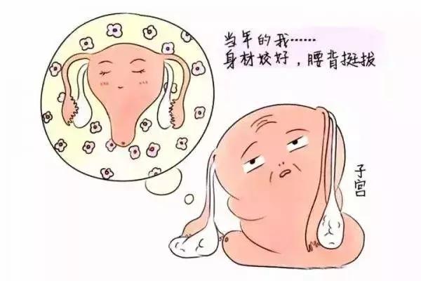 产后女性身心康复,产后多久可以器官恢复正常