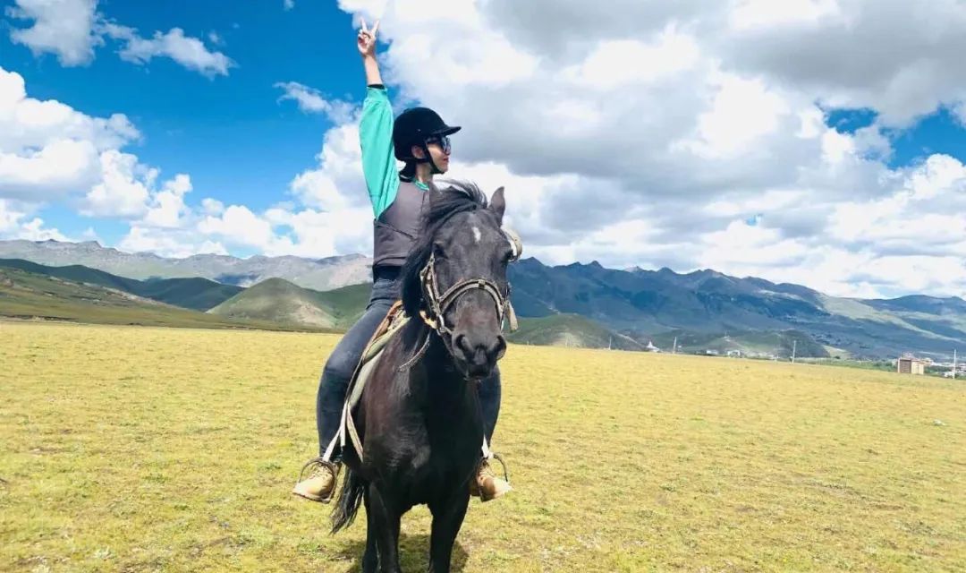 夏天的草原玛曲,夏天的玛曲草原