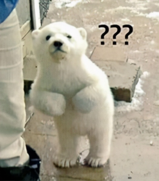 蛀牙的克星有哪些,蛀牙根管治疗还是补牙