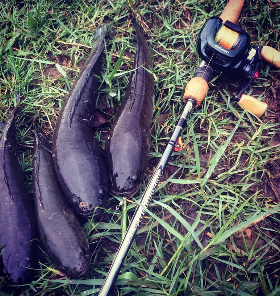 铁血战士打黑武士,铁血战士打特种兵