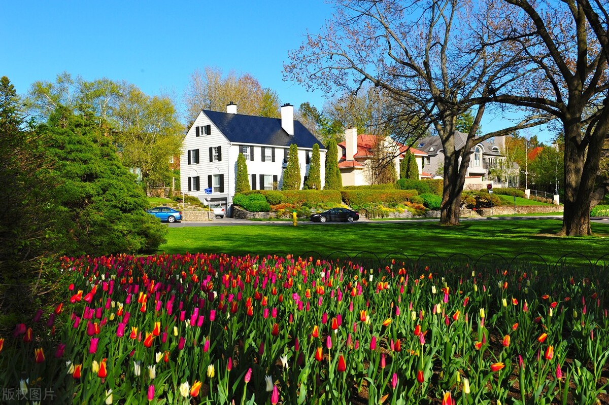 澳大利亚和加拿大实力对比,澳大利亚和加拿大综合国力对比