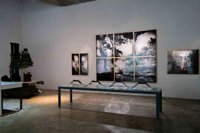 奥林巴斯摄影圈,奥林巴斯相机业务被谁收购