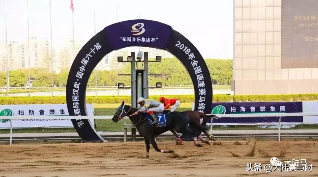2019年全国速度赛马锦标赛11月2-3日武汉东方马城国际赛马场举行