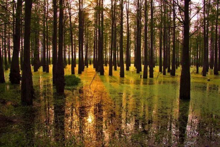 森波拉温泉度假村两天一夜游,倒数跨年狂欢夜