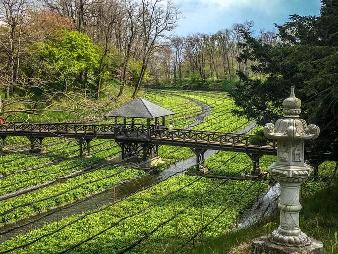 225亩公园能容纳多少人,225亩荒地