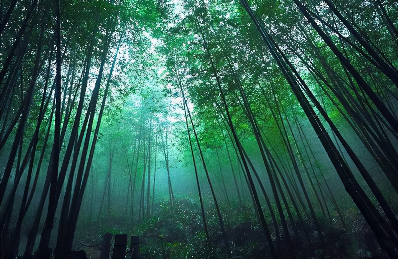 10—11月份最佳自驾旅游推荐,遇见最美的旅行国内29条自驾路线