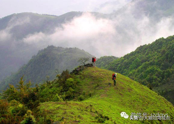 广东最美8个大草原,广东十大草原旅游地