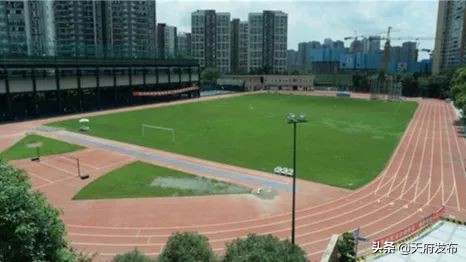 世警会准备什么,世警赛赛程2023