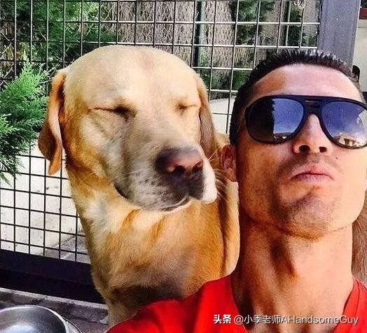 男足无缘世界杯了吗,男足三次无缘世界杯