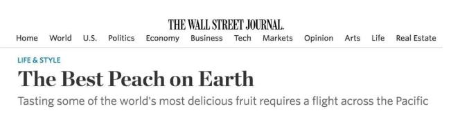 真正的阳山水蜜桃,阳山水蜜桃真的有那么好吃吗