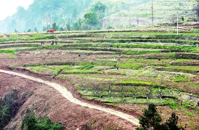 2018年开州区郭家镇的新农村建设,开州郭家镇乡村振兴
