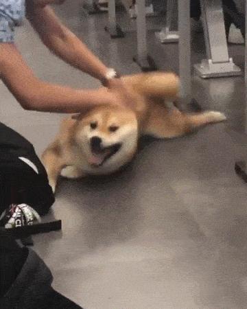 6家私藏淘宝店铺大公开,7家值得收藏的袜子店铺