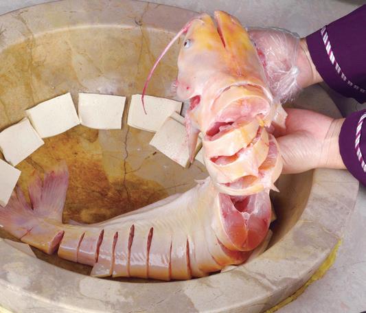 江湖火锅鸡火锅鱼,蒸汽石锅鱼火锅加盟