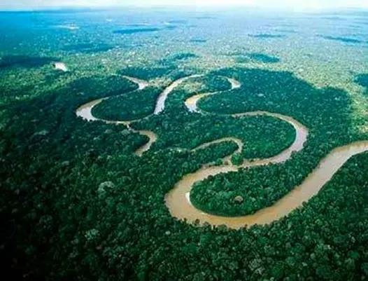 蛇类的寿命一般是多久呢,蟒蛇可以活多少年