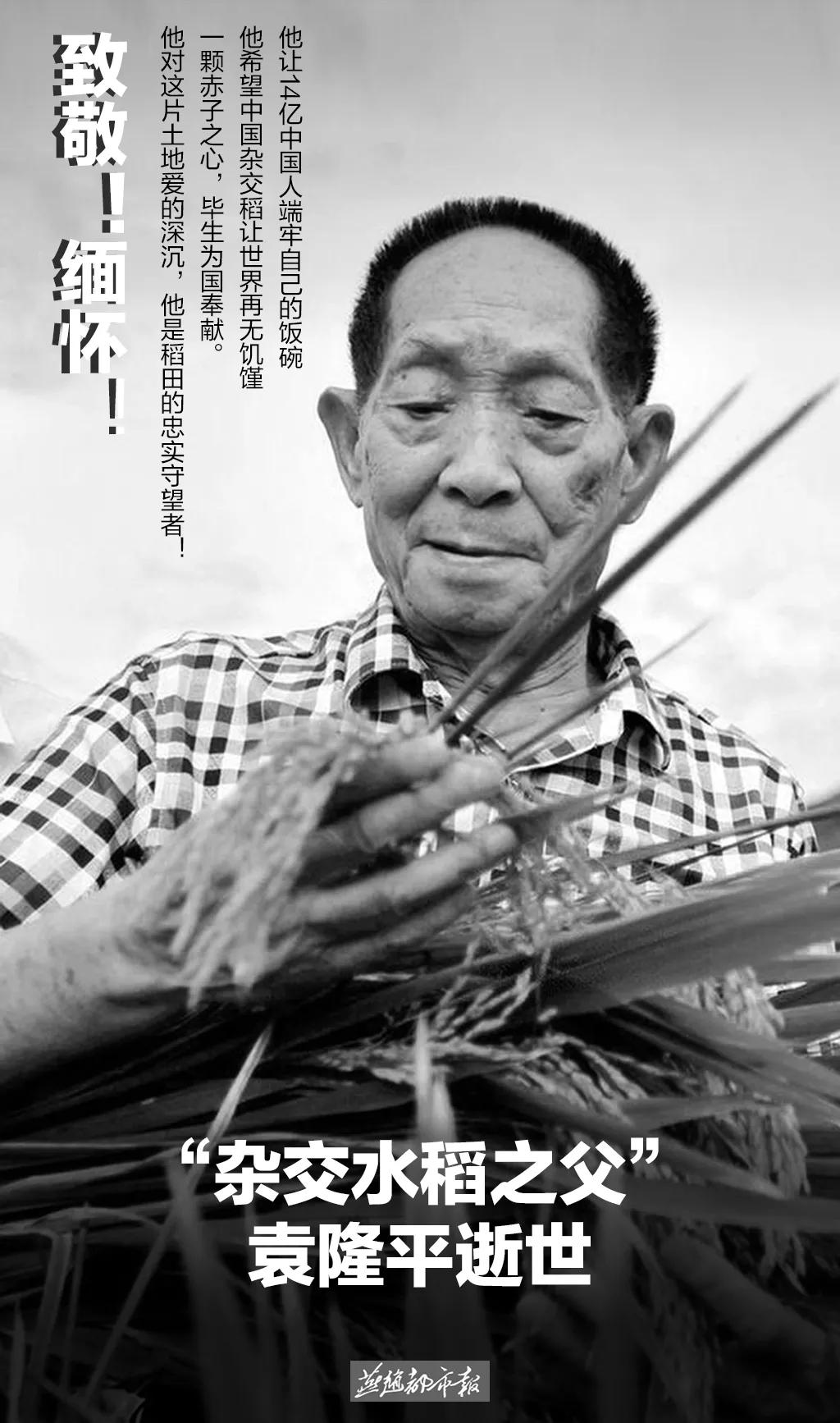 袁隆平先生的金典语录,我们为什么崇拜袁隆平