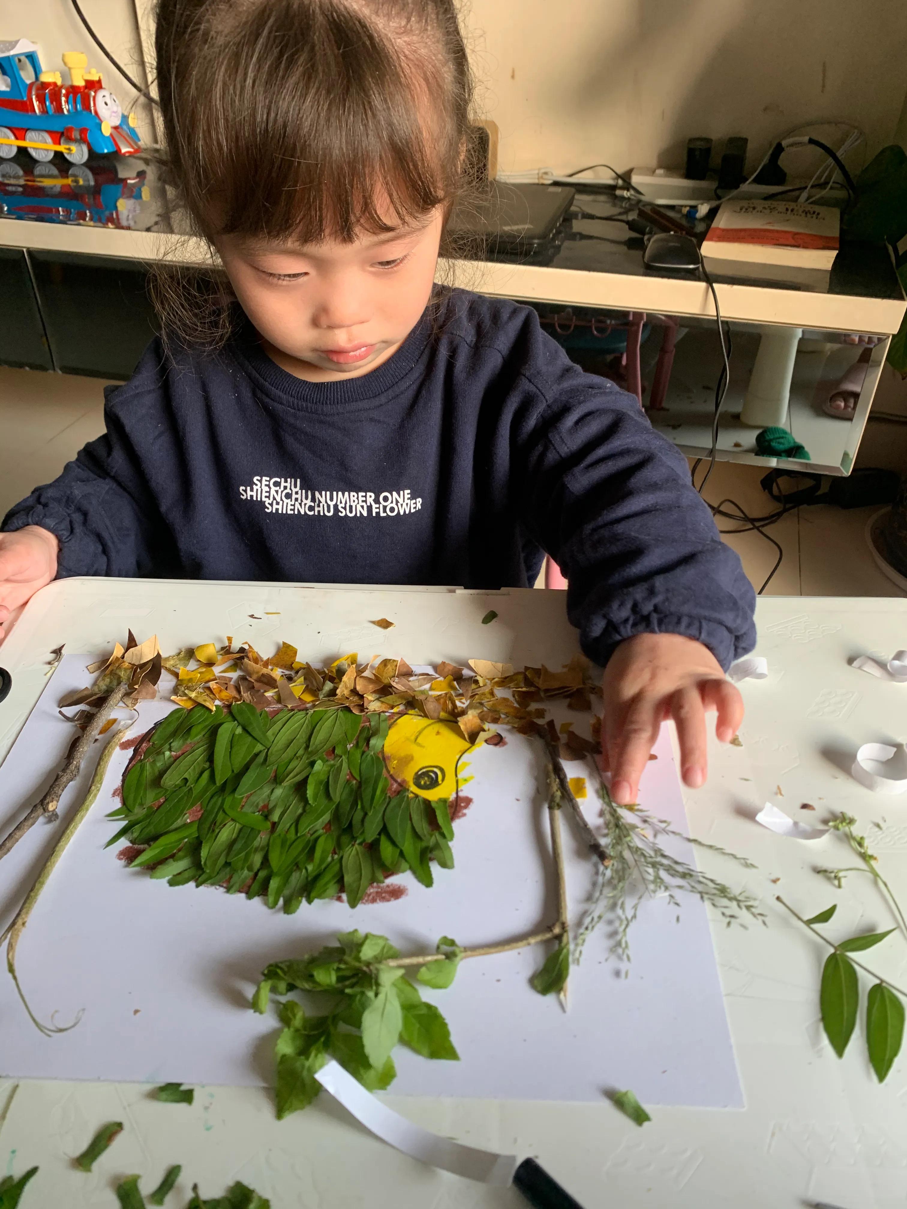 用树叶和花朵做一幅美丽的画,用银杏树叶做一幅简单漂亮的画