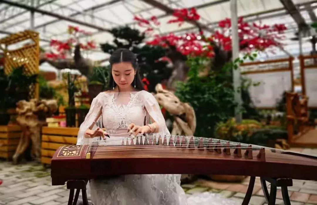 精品寒兰展,福建连城寒兰节