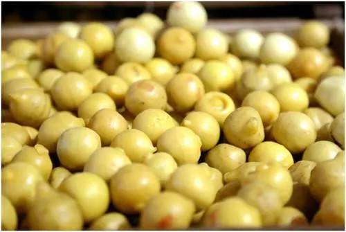 老中医陈李济补气血养生汤,中药陈李济是大品牌吗