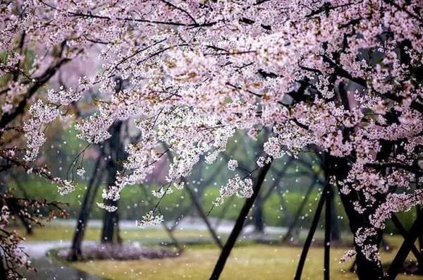 魔都十大高颜值景点,魔都游玩景点打卡攻略图