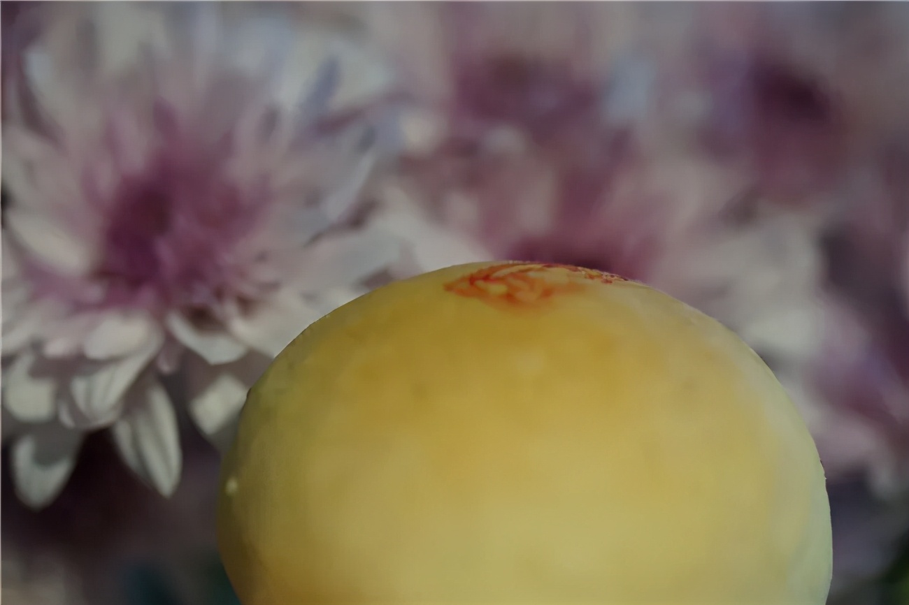 服装设计+花艺设计，只爱百分百纯天然