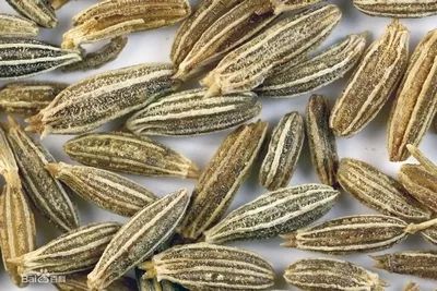 进口知识,进口零食知识