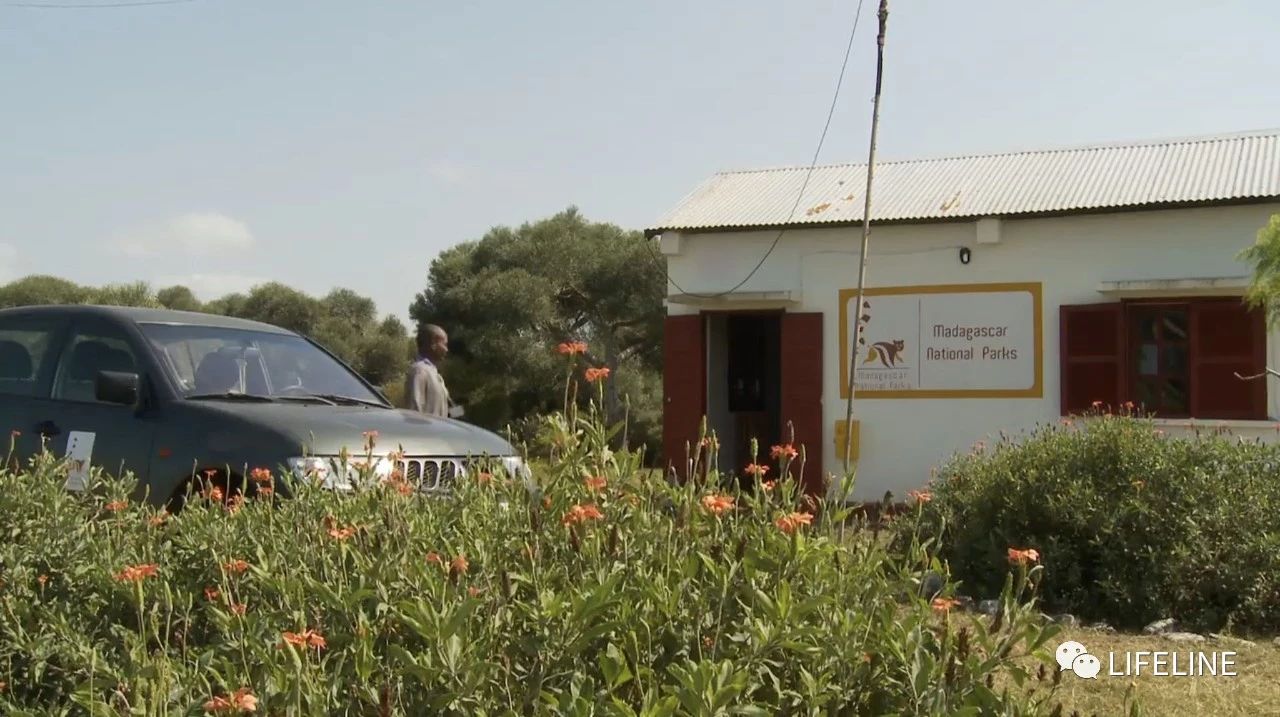 龟中“考拉”，请别让我们的孩子在博物馆见到它们...