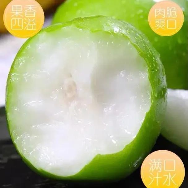 台湾牛奶枣最新品种,台湾特大牛奶枣