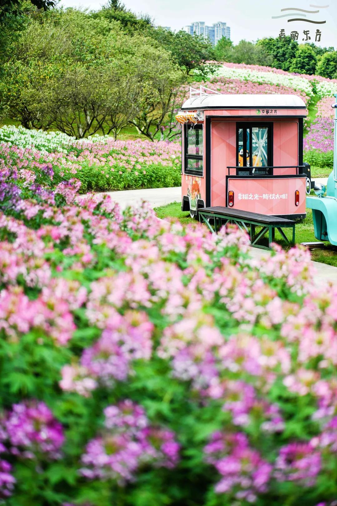 成都三圣乡恐龙主题公园,三圣乡恐龙主题公园地址