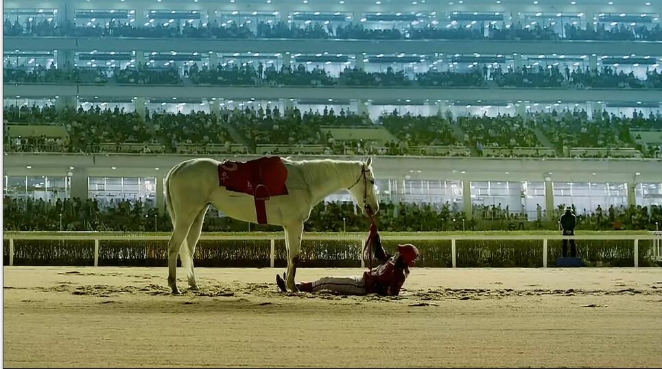 一人一马攀登高峰望故乡完整版,一人一马励志电影